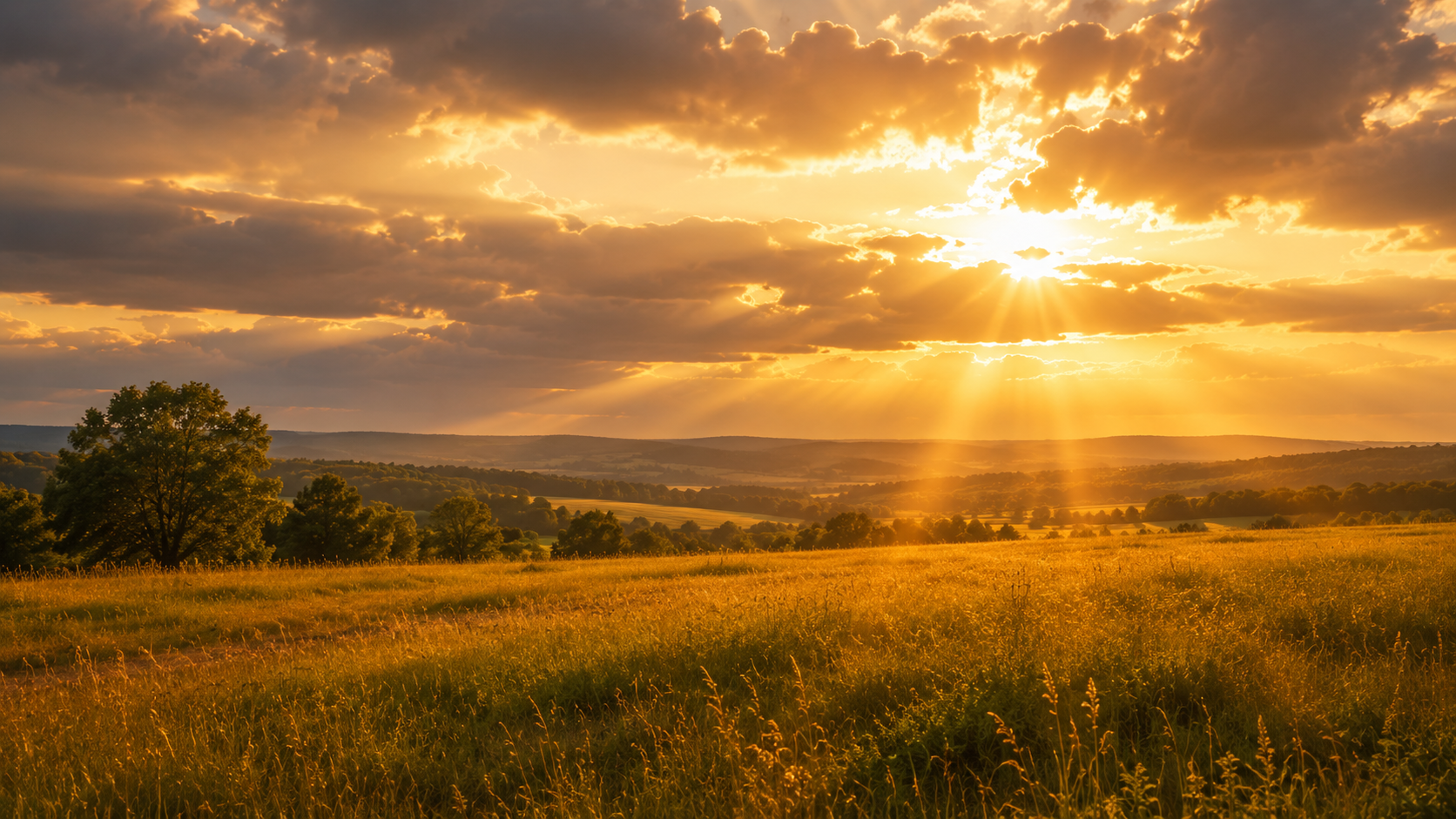 Show Divine Love by Being Merciful — Wednesday, June 24